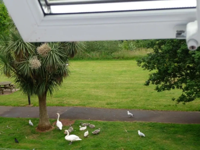 Standard Double room with park view