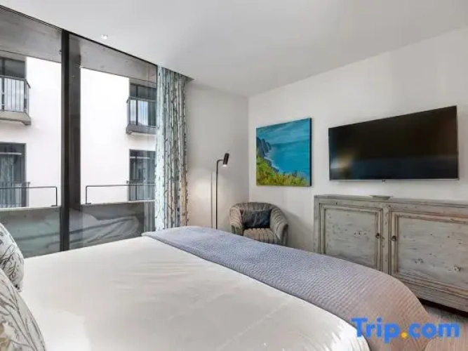 Luxury Apartment