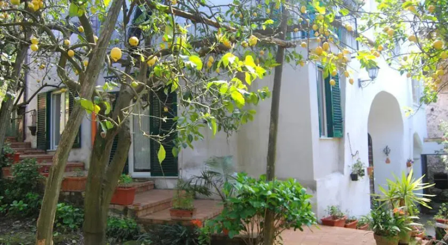 Sorrento Studios Lemons Hill