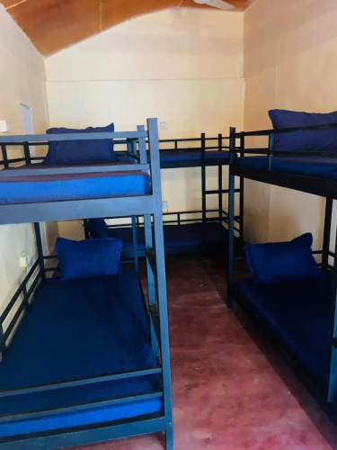 Lemon Tree Hostel