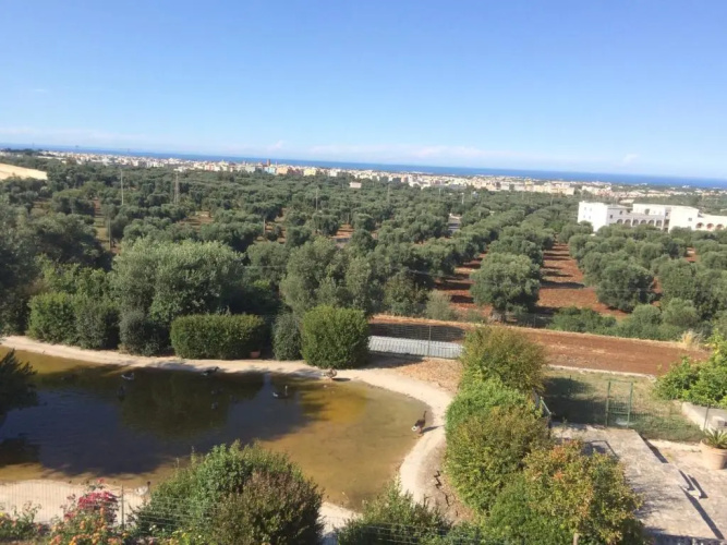 Appartamento Giardinelli - Giulia