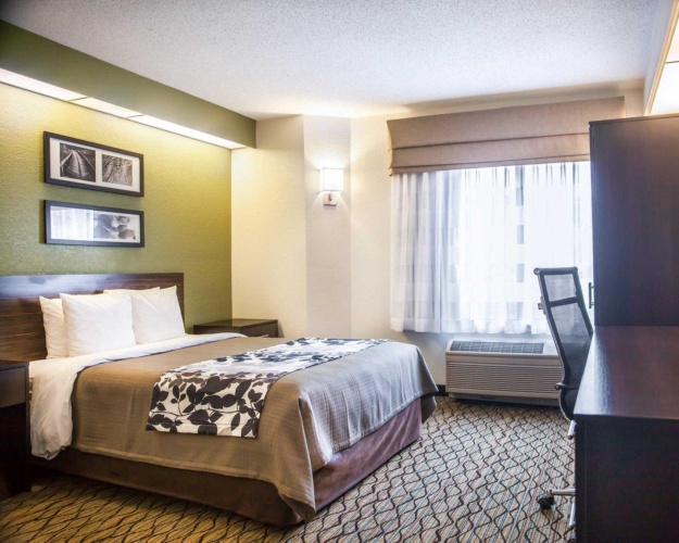 Standard Double room
