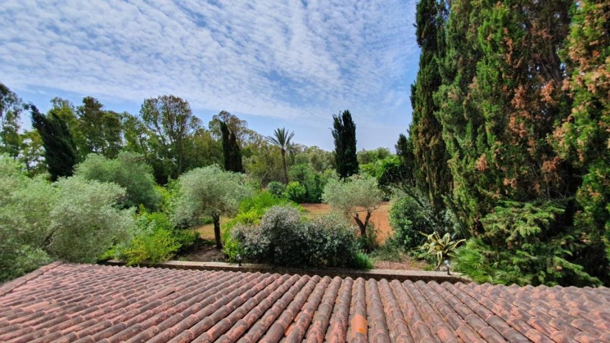 Standard Double room with garden view