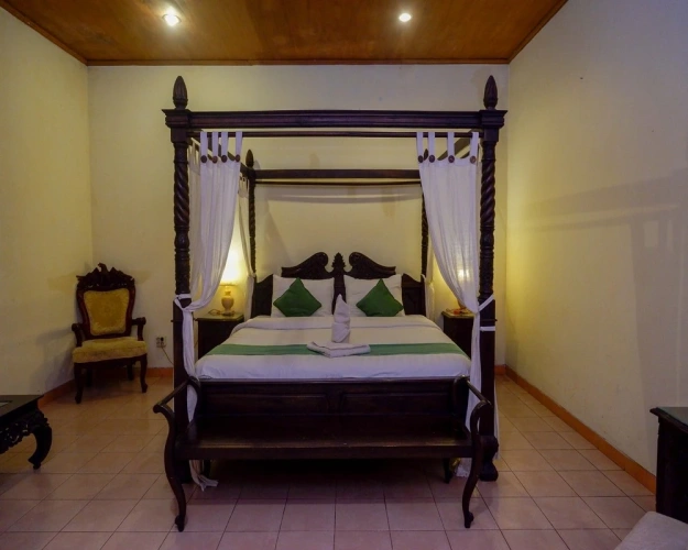 Deluxe Double room with balcony and with view