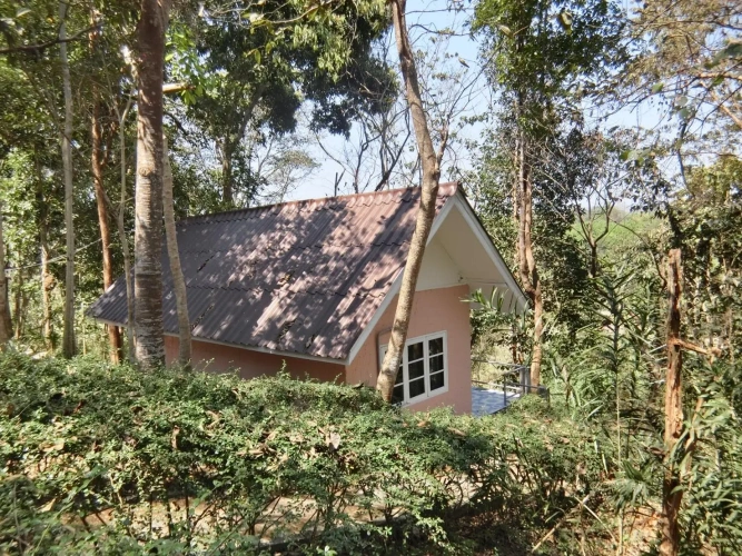 Superior room with garden view