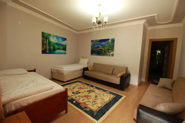 1 Bedroom Apartment