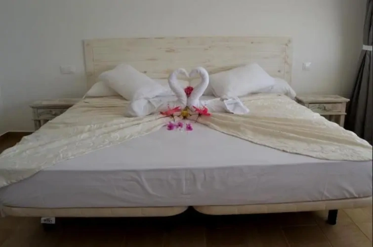 Standard Single room with sea view