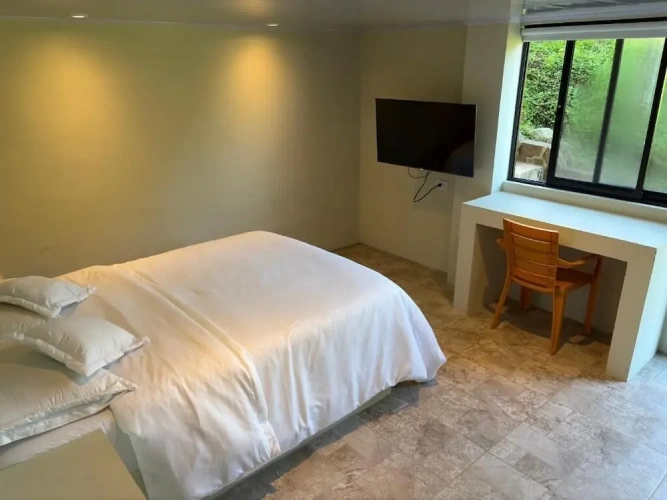Standard Suite