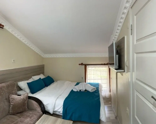 Standard Double Family room with mountain view