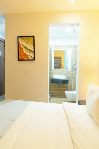 Luxury Apartment