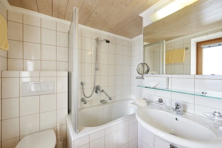 Classic Double room with balcony and with mountain view