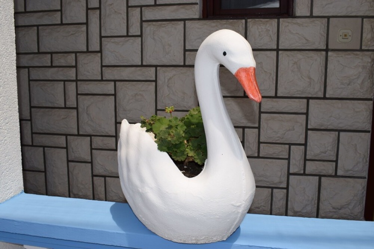 Outside