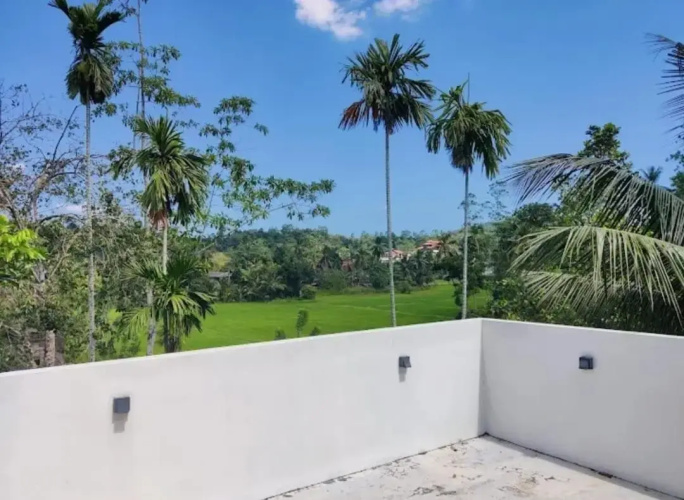 Villa Green Bamboo