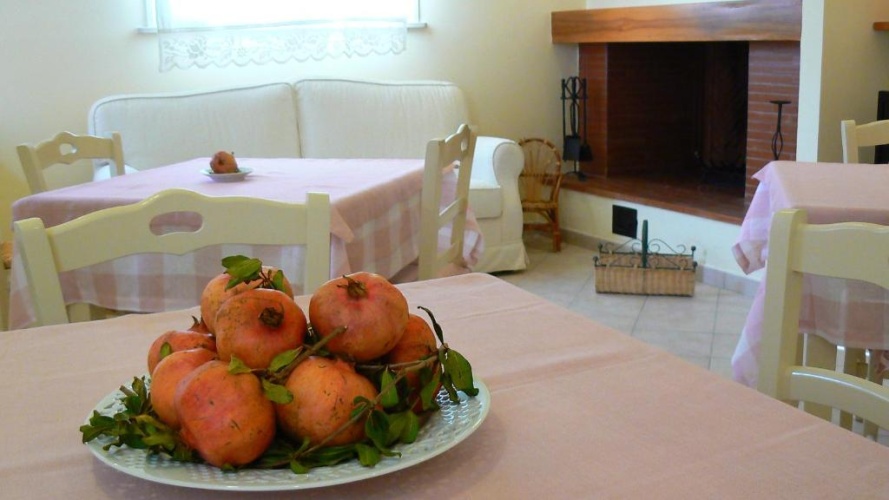 Comfort Single room