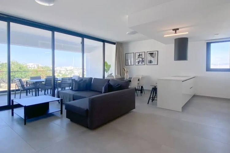 Luxury Apartment