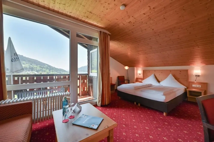Superior Double room with balcony and with lake view