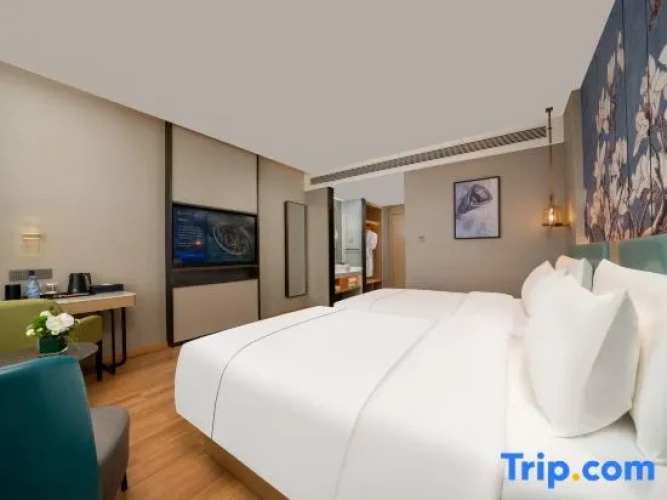Deluxe Twin Family room