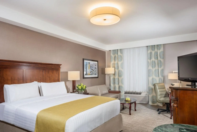 Deluxe Double room