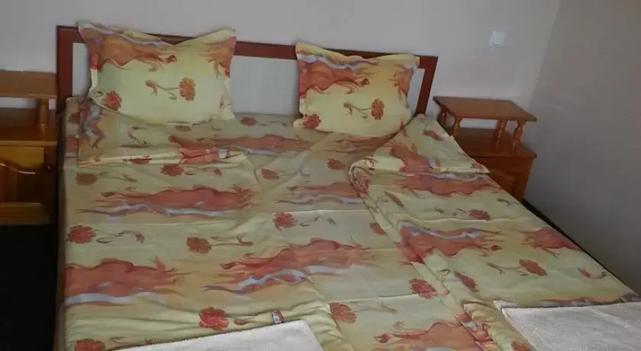 Georgiev Guest House