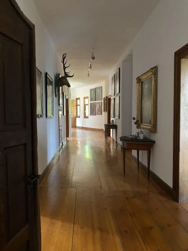 Deluxe Apartment with courtyard view