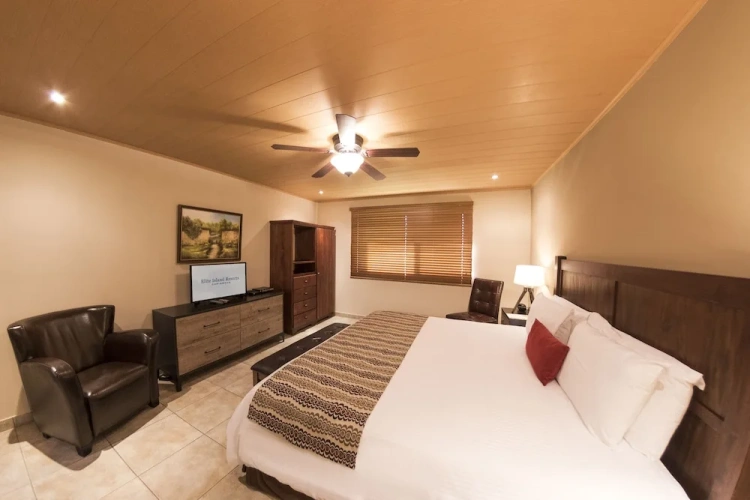 Premium Suite