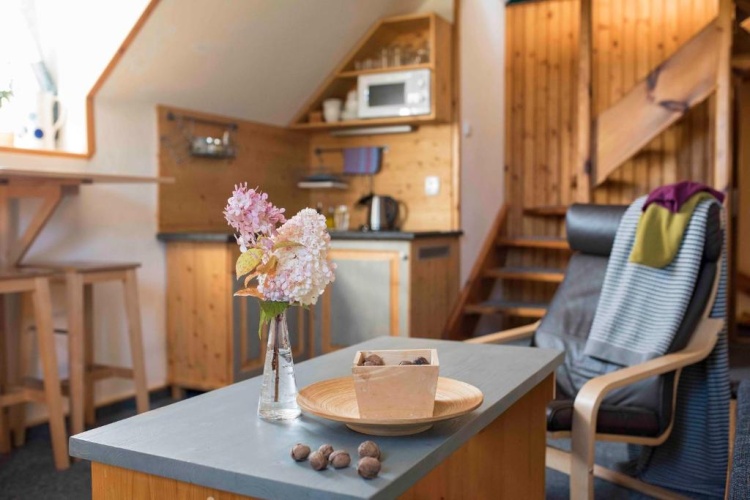 Comfort Apartment