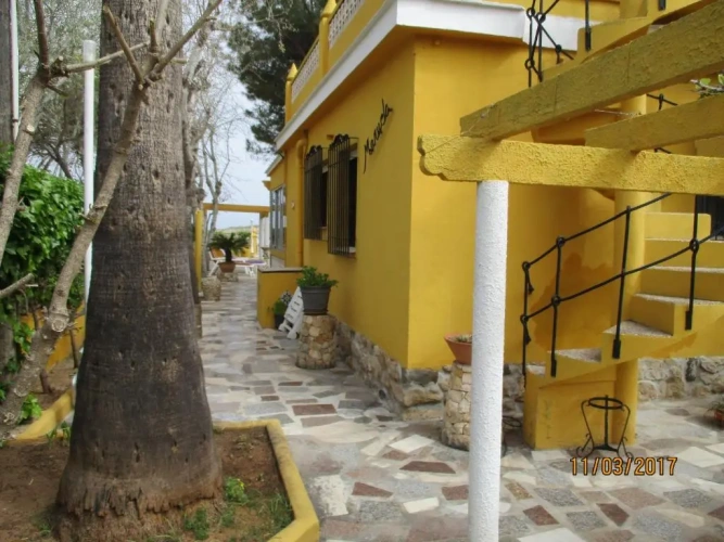 Cottage