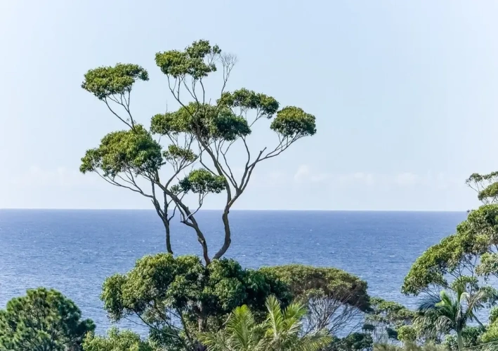 1 Bedroom Executive Apartment with balcony and with ocean view