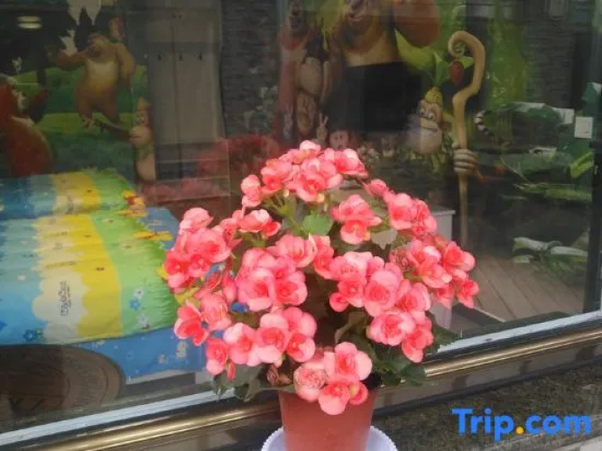 Yanshan Hostel