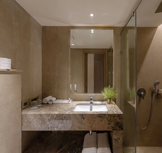 Deluxe room with city view