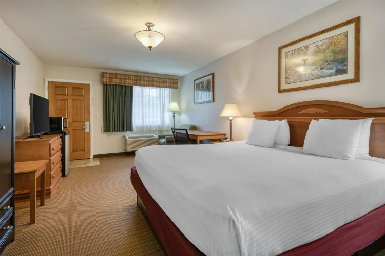 Standard Double room