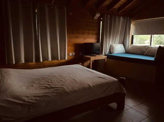 Standard Double room with lake view
