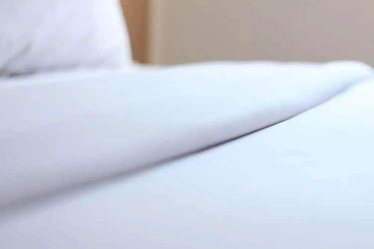 Hotel Pules