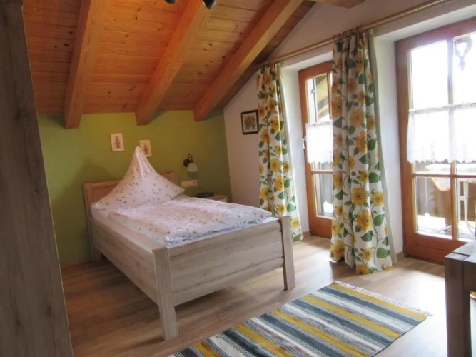 Standard Single room with mountain view