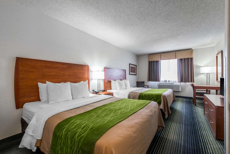 Standard Quadruple room