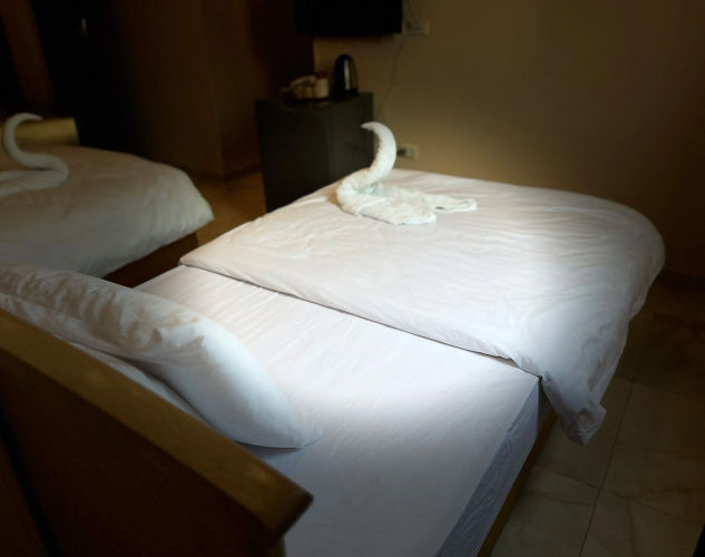 Grand pyramids view hotel