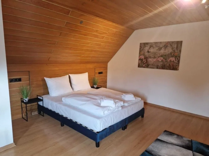 Comfort Apartment
