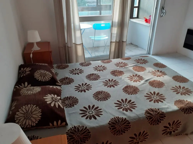 Great Apartment with Zoo View