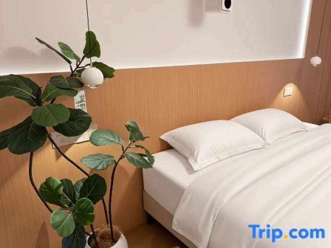 Standard Double room with lake view