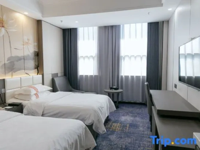 Executive Twin room