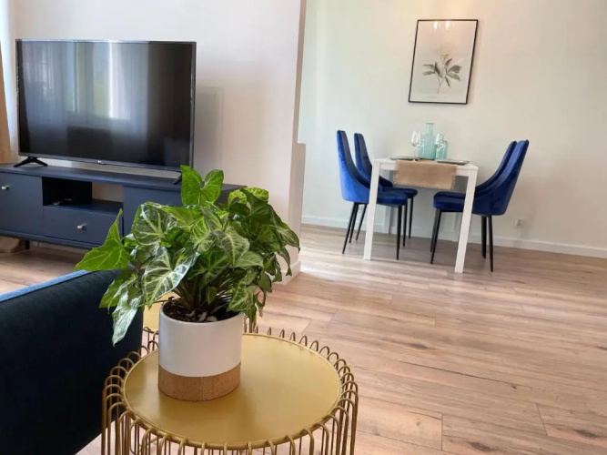 Apartament Rataja50