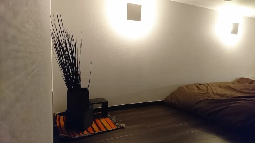 Superior Twin room with mountain view