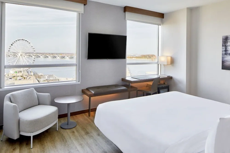 1 Bedroom Suite