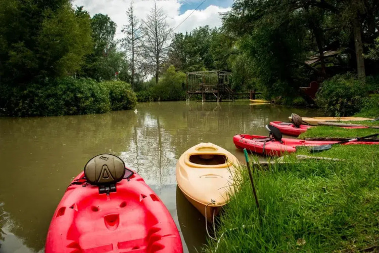 Villas Casa de AvesOver view