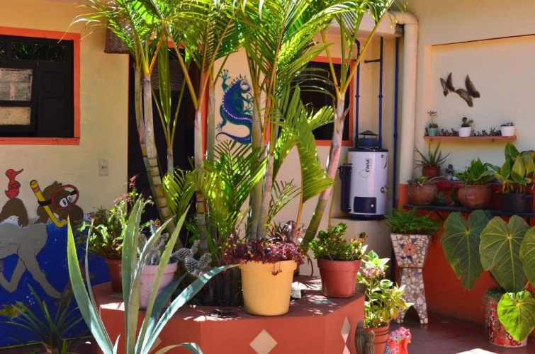 Hostal El Rincón de los Camellos