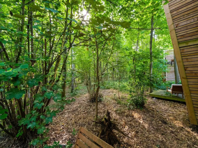 Forest-view Cottage Stay