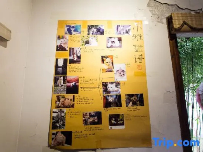 Xiaoya Youth Hostel