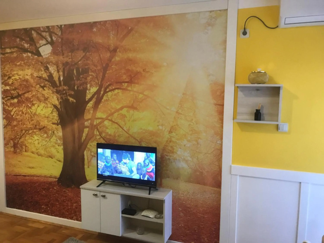 Tina sajam studio
