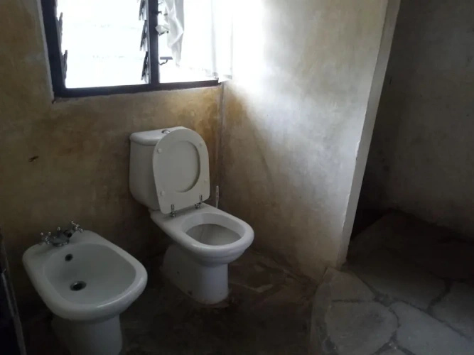 Economy Double room with garden view