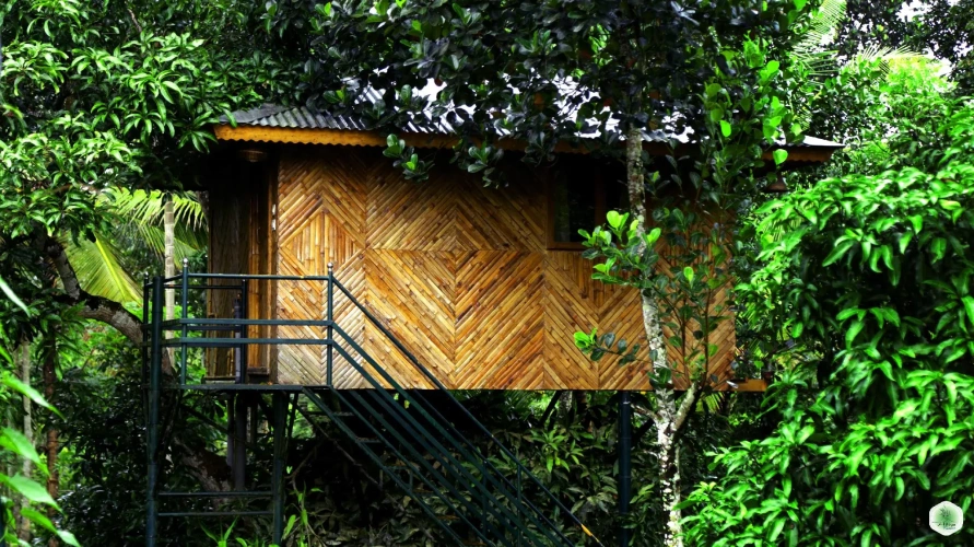 Deluxe room with balcony and with view